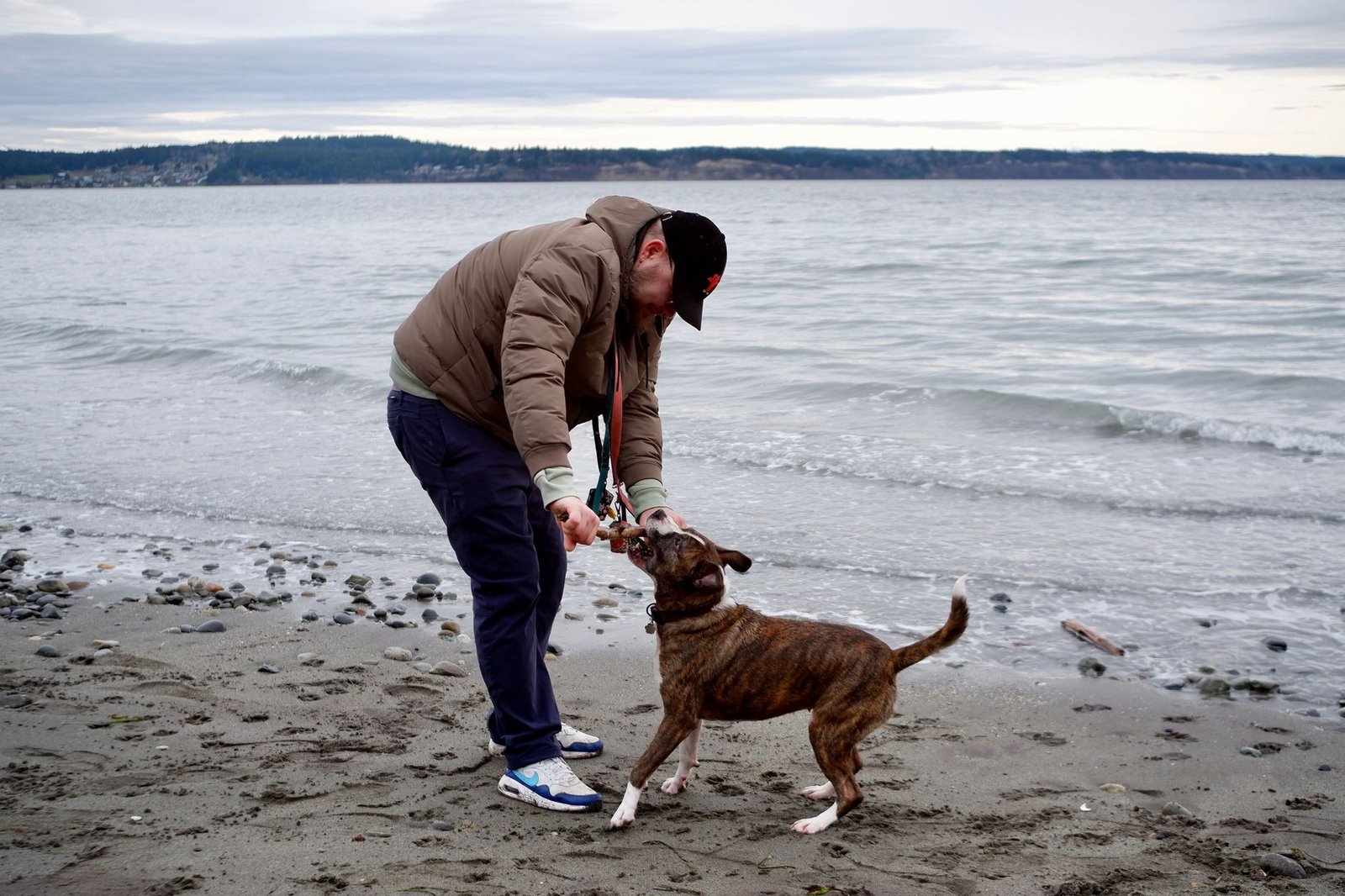 A man plays with his dog on a pebble-strewn beach against a calming sea backdrop.